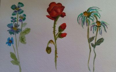 Vanesa, Flor de Mayo